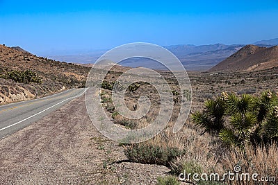 California Desert Landscape
