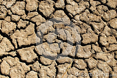 California Drought 2