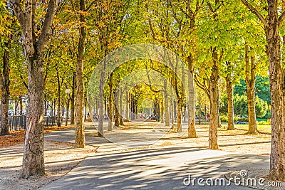 Calm park near the Champs Elysess