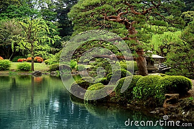 Calm Zen lake and bonzai trees