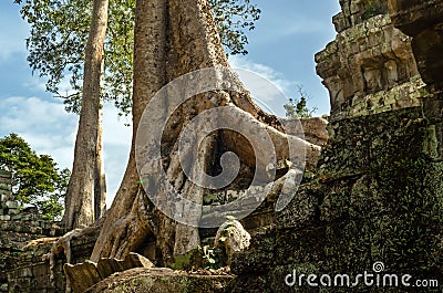Cambodia. Angkor vat.