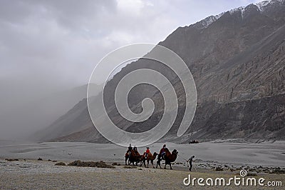 Camel ride in desert