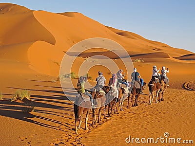 Camel ride