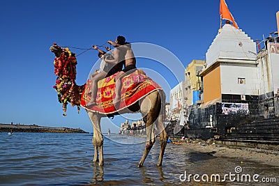 Camel Ride