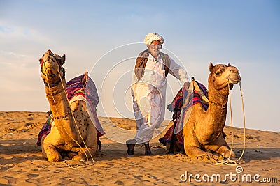 Cameleer stand between camels