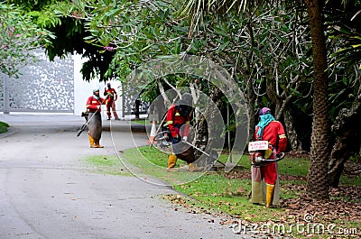Camouflaged leaf blowers working in park, Singapore