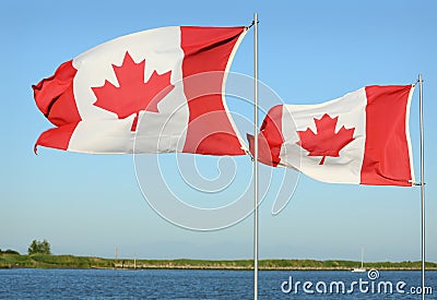 Canadian Flags in Sunshine