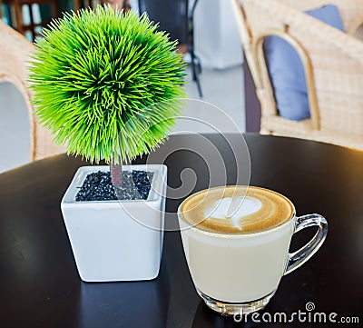 Cappuccino or latte coffee with green tree on table wooden