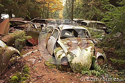 Car graveyard 1