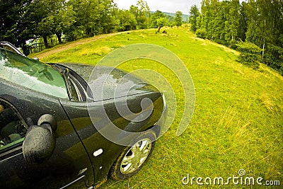 Car in a green field