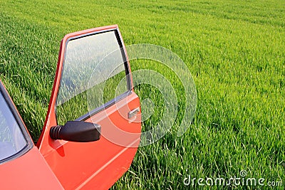 Car and green grass