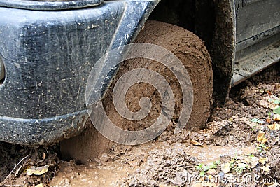 Car s wheel in mud in the forest