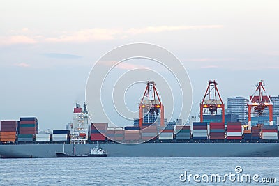 Cargo sea port. Sea cargo cranes