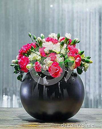 Carnation flower in black ceramic pot