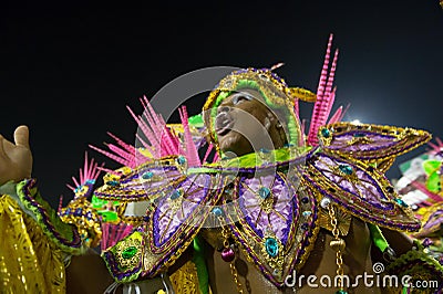 Carnival 2014 - Rio de Janeiro