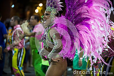 Carnival 2014 - Rio de Janeiro