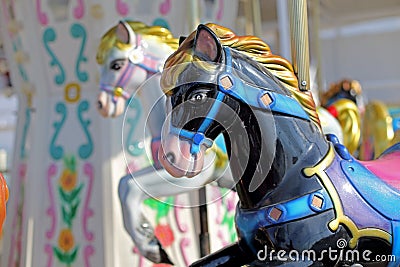 Carousel in an Amusement Park