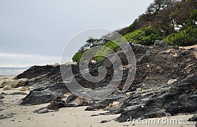 Carpinteria Beach, Tar Pit Park, Central Coast