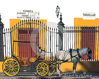 Carriage with a horse