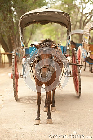 Carriage in Inwa ancient city in Myanmar.