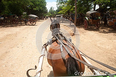 Carriage in Inwa ancient city in Myanmar.