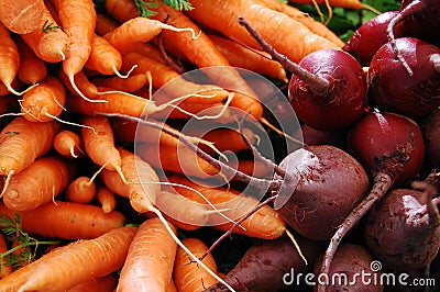 Carrots and beets