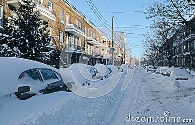 Cars covered by snow on the street