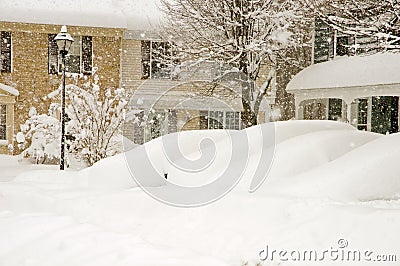 Cars and houses in blizzard