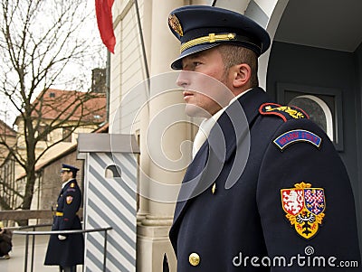 Castle Guards