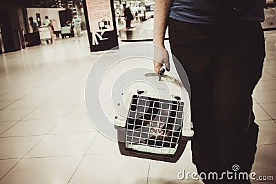 Cat closed inside pet carrier in airport
