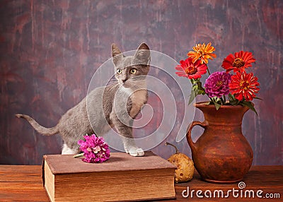 Cat posing next to flowers