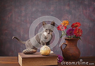 Cat posing next to flowers in a vase