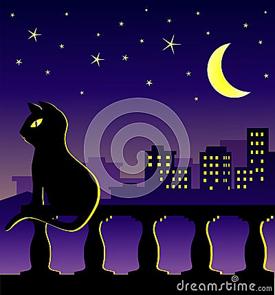 Cat in midnight on the balcony