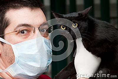 Cat at vet