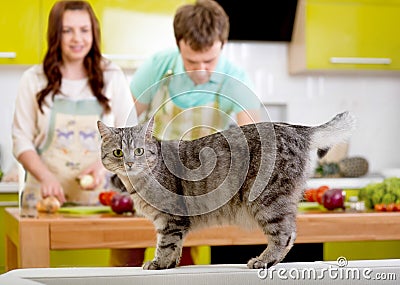 Cat watching to the camera with married couple on the background