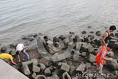 Catch crabs on the beach of the youth in SHENZHEN