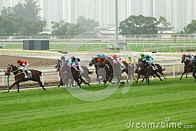 Cathay Pacific Hong Kong International Horse Races
