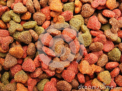 Cats (dogs) food detail close-up