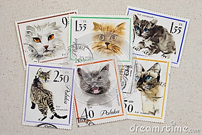 Cats - set of vintage post stamps from Poland
