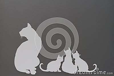 Cat silhouettes