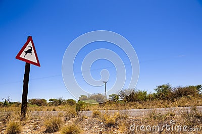 Caution road sign of wild annimals crossing in Sou