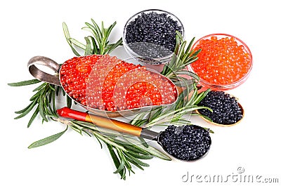 Caviar with rosemary