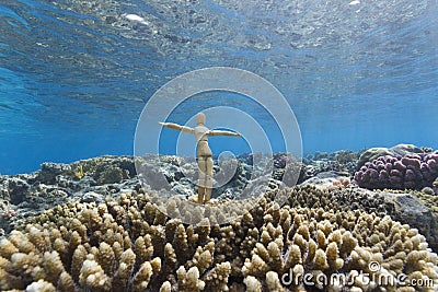 Wood puppet underwater on corals