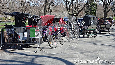 Central Park Bicycle Carts