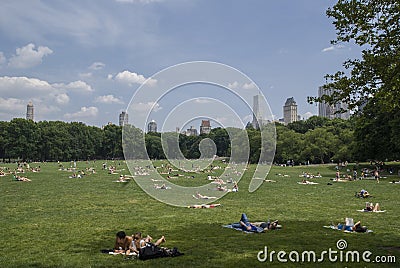 Central Park chill