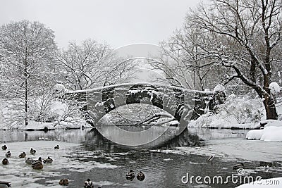 A Central Park Frozen Lake And Bridge In The Snow