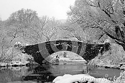 Central Park - NYC after snow storm