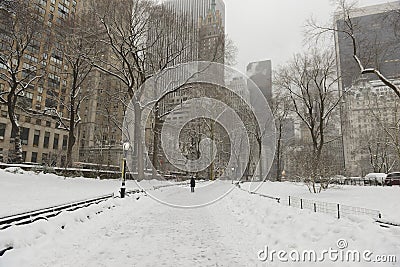 Central Park in the snow, New York