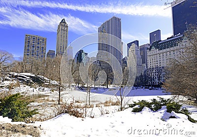 Central Park in the snow, New York