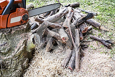 Chainsaw and firewood